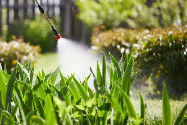 24/7 Emergency Ant Control experts in Elberta, AL